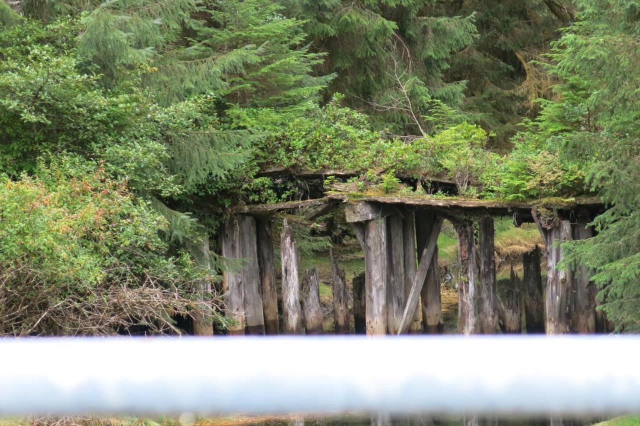 A Shack In The Woods Villa Port Renfrew Ngoại thất bức ảnh