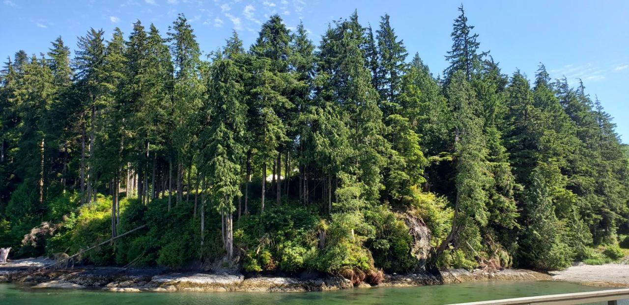 A Shack In The Woods Villa Port Renfrew Ngoại thất bức ảnh