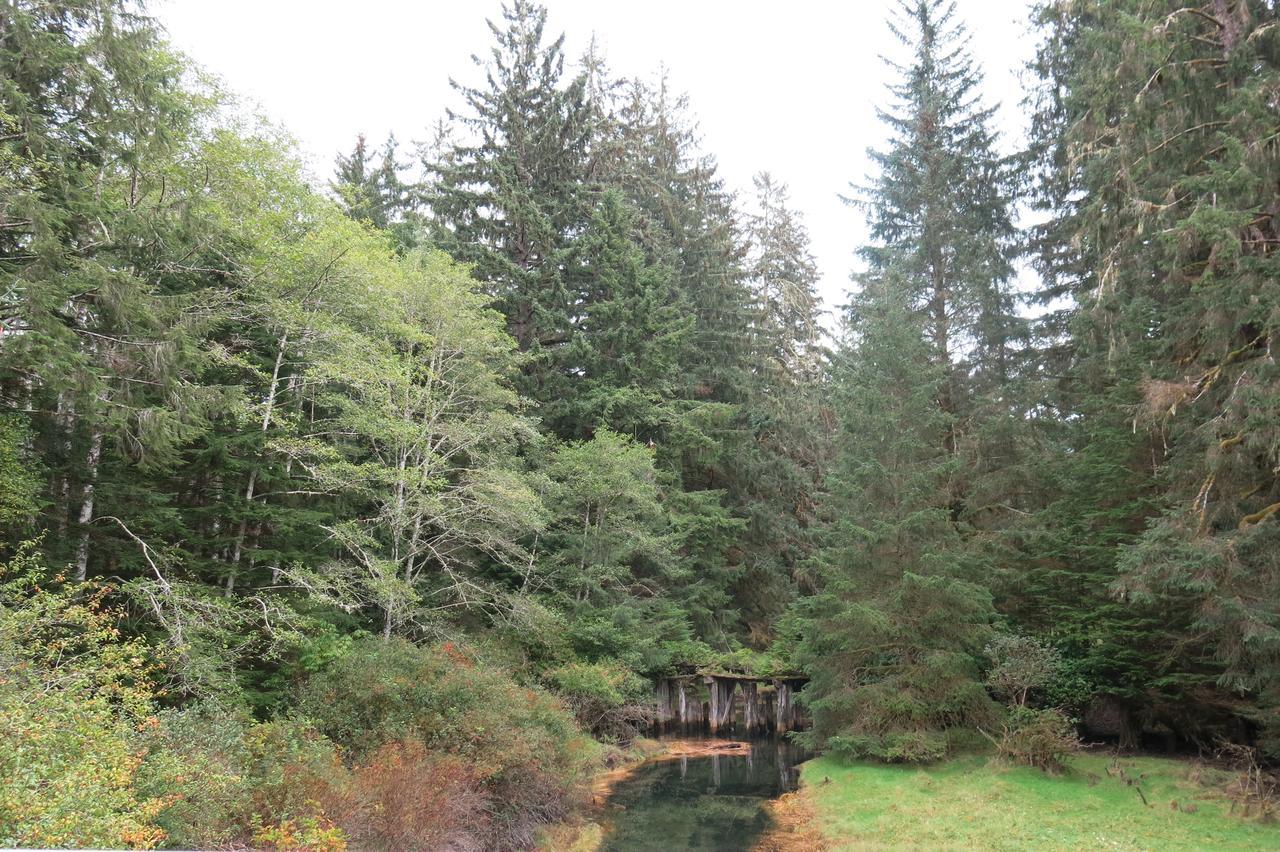 A Shack In The Woods Villa Port Renfrew Ngoại thất bức ảnh